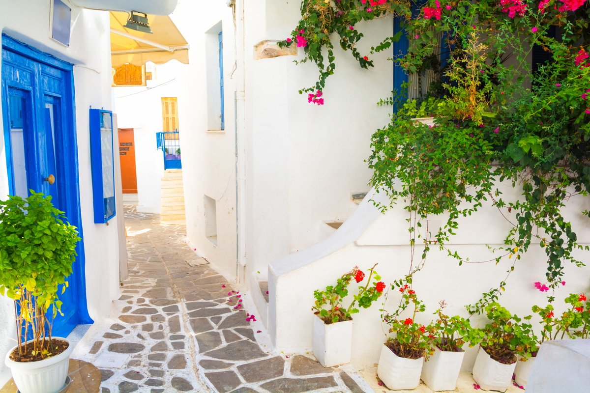 📌 Whitewashed narrow street in Naxos island 🇬🇷

#naxos #greekmood