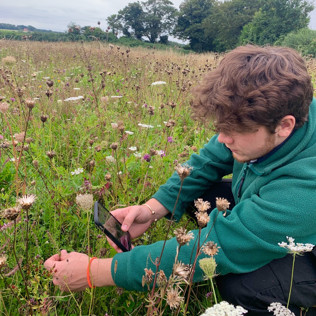HawkConservancy's tweet photo. Our Conservation internships are open for applications! 🔎🦋🦉

This is a unique opportunity to gain valuable skills that will help you kickstart your career in this exciting field!  #ScienceSaturday

Find out more and apply: https://t.co/9NISYXA3cE https://t.co/FIQI5wrnKW