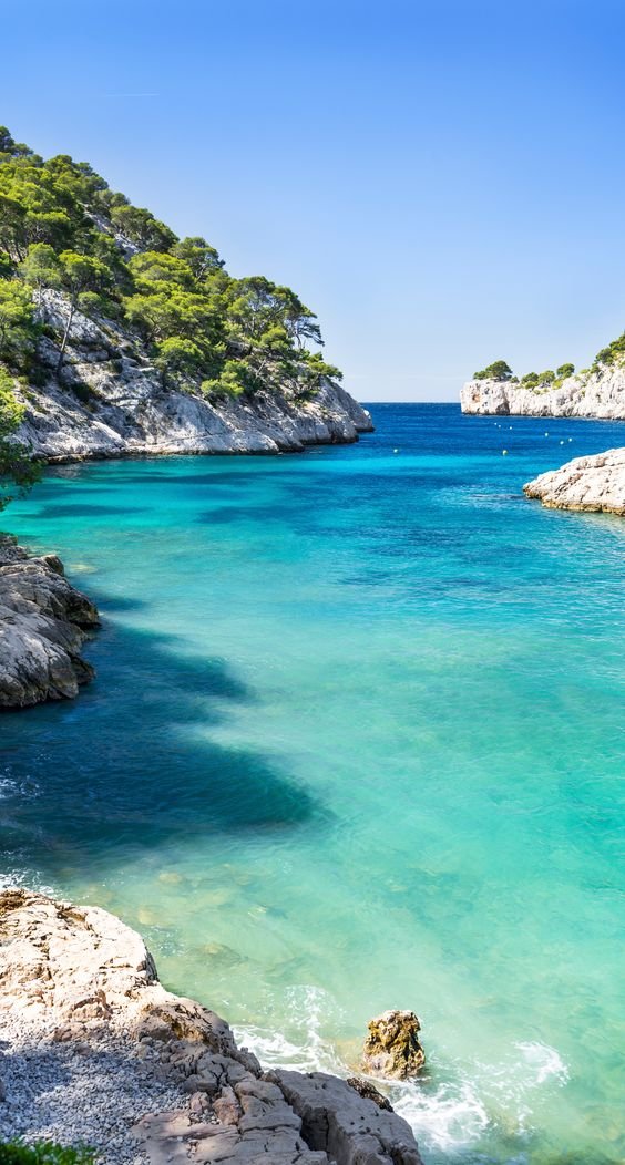 🌊🌊🌊🌊🌊🌊🌊🌊🌊🌊🌊🌊
#SaturdayMotivation #GoodMorningTwitterWorld #GreatFriends 
#follo4folloback #gratitude #BeHappy 
In the calanques from #Marseille to #Cassis🇫🇷
#PeaceAndLove  #PlacesToTravel #photography #nature #sealife #scubadiving  
🤿🎼🏝️🥰⤵️
youtube.com/watch?v=z3rLWt…