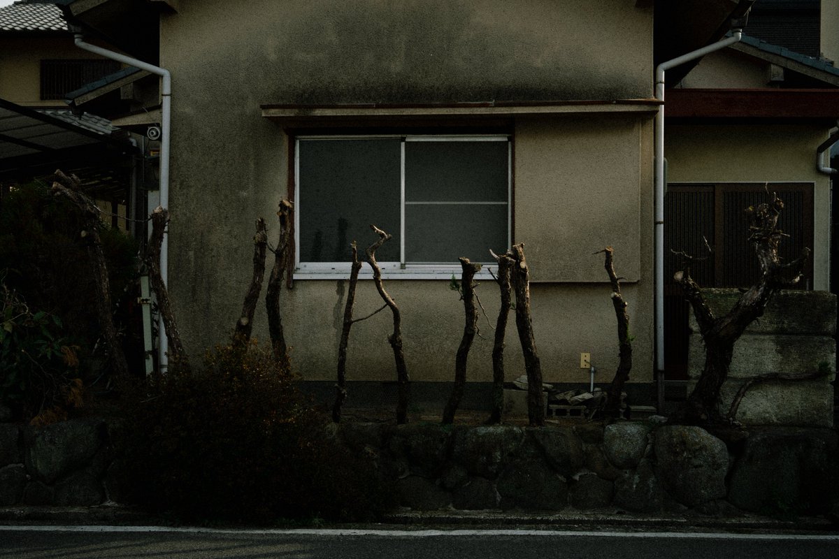 Sinn_photograph's tweet image. Objects