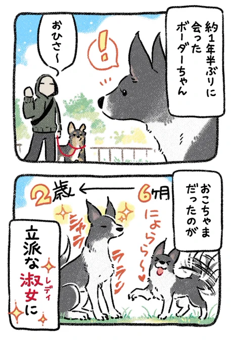淑女のお誘い🌹 #漫画が読めるハッシュタグ #犬 #エッセイ