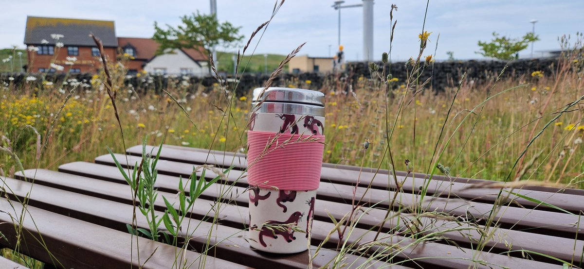 SharonEnv1's tweet photo. Coffee at the ready for our @ClimateActionNE #BeesAndBotany walk here today @Dalton_Park starts at 10am. Cannot wait to see @CommonByNature @NEE_Naturalist @pmnogue @wildcraftnation and see what we find in our #pollinatorparks spaces and #communityrewilding at its best! 🌏🌱🌿🐝 https://t.co/WJiA1szERc