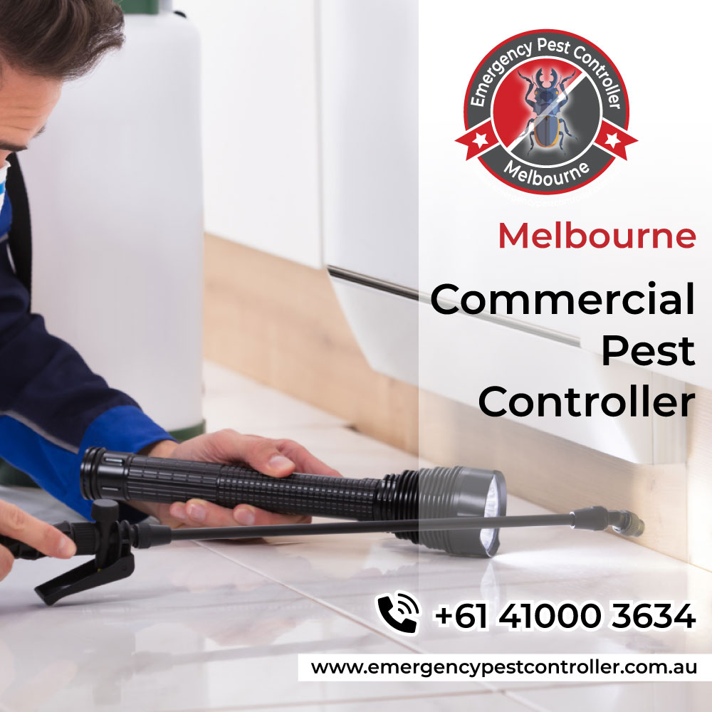 Commercial Pest Disinfection Melbourne

emergencypestcontroller.com.au/commercial
Call Us : +61 41000 3634

#commercialpestcontrol #termitecontrol #pestcontrol #pestmanagement #melbourne #geelong #ballarat #pestcontrolservice #pestexperts