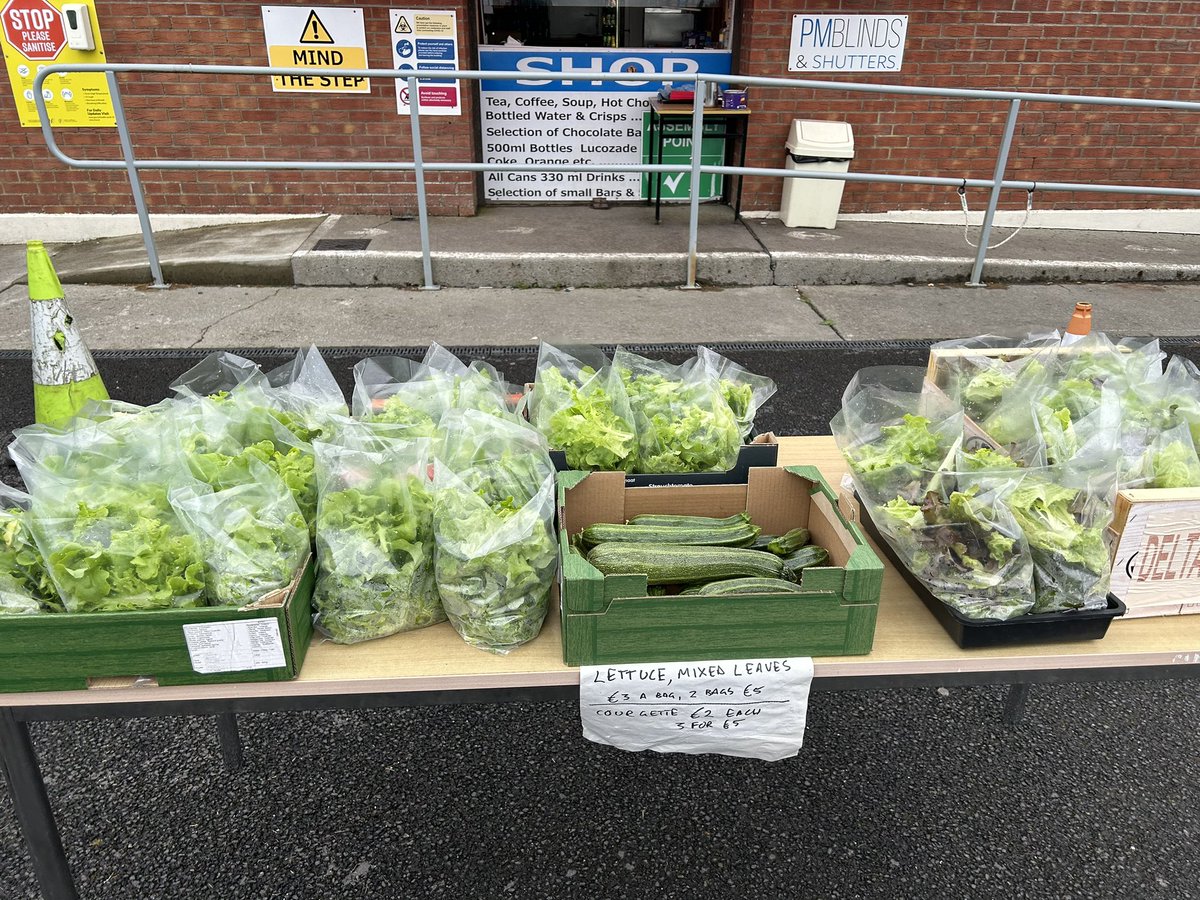 mdlgrounds tweet media