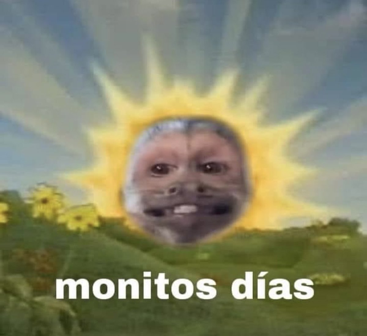 piña sin pizza (@skereunpesado) on Twitter photo 