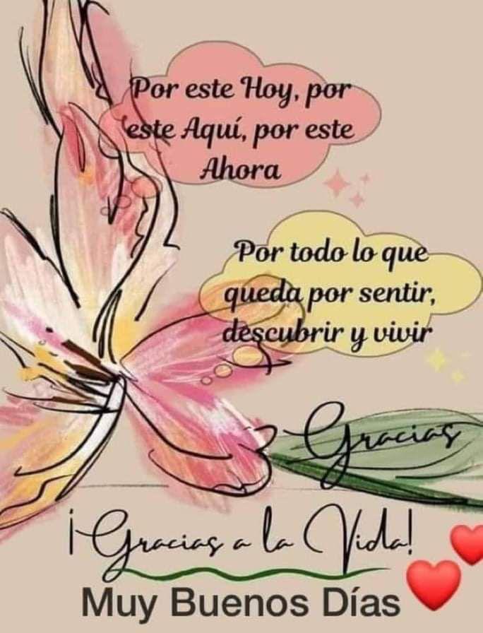 José Carlos Vega tweet media