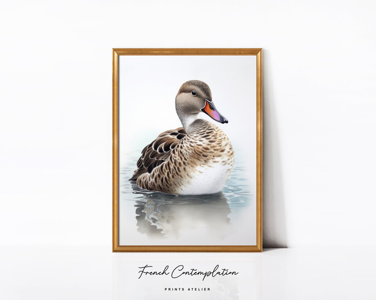 Duck out of Water: a Backyard Story 
etsy.me/3NBeoxy
#duck #farmanimals #forestanimals #etsyshop #frenchart #watercolor #artprint #19thcentury #countryside #homedecor #walldecor #digitalprint