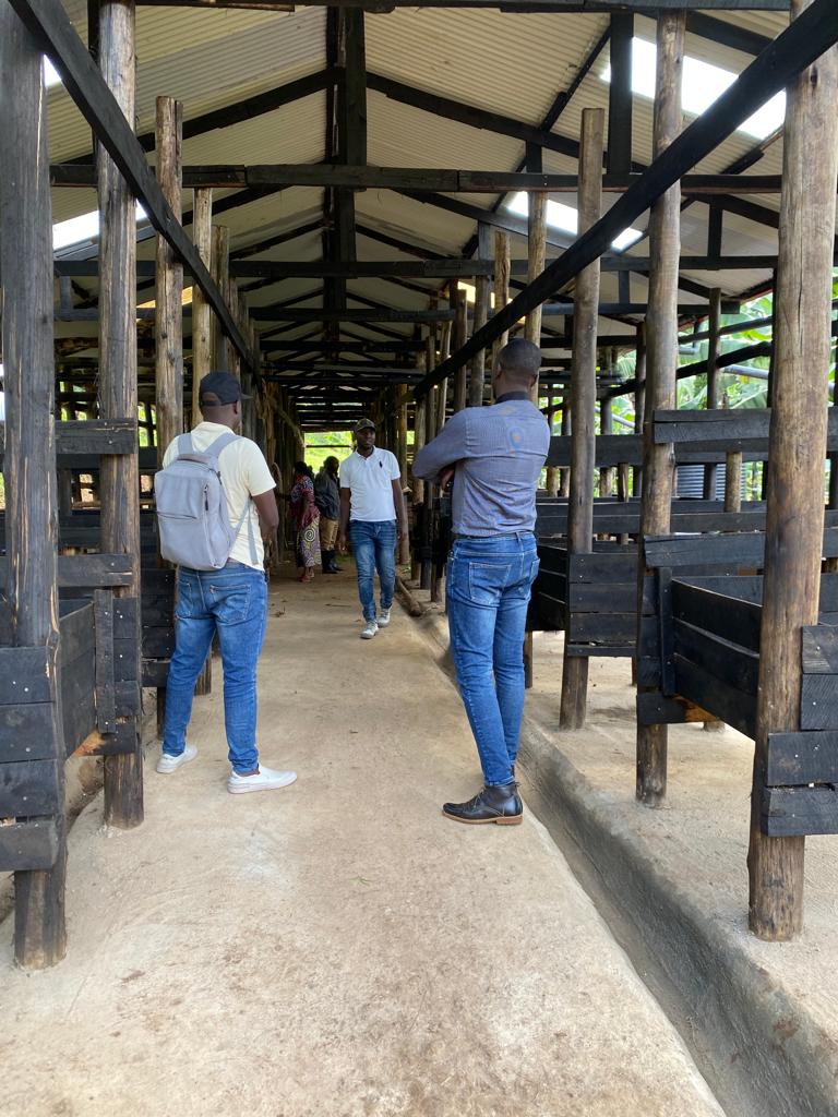 RANGIRO SECTOR tweet media