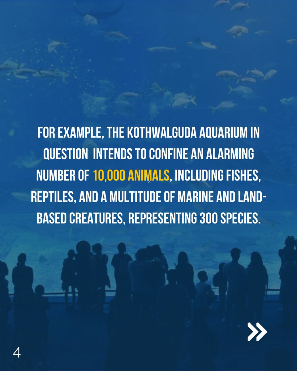 Hyderabadis, as we eagerly await water tankers under the scorching sun, another pressing challenge arises. The proposed Aqua Marine Park and Aviary by the HMDA in HYD have far-reaching negative impacts on us, our oceans, and the planet. Take the initiative to educate yourselves.