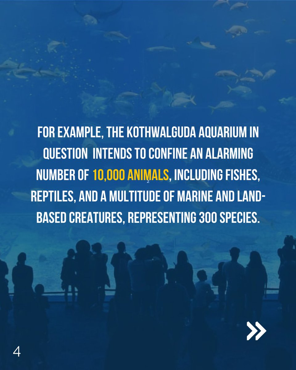 SDsridivya's tweet photo. Hyderabadis, as we eagerly await water tankers under the scorching sun, another pressing challenge arises. The proposed Aqua Marine Park and Aviary by the HMDA in HYD have far-reaching negative impacts on us, our oceans, and the planet. Take the initiative to educate yourselves. https://t.co/cGGu0wJG7Y