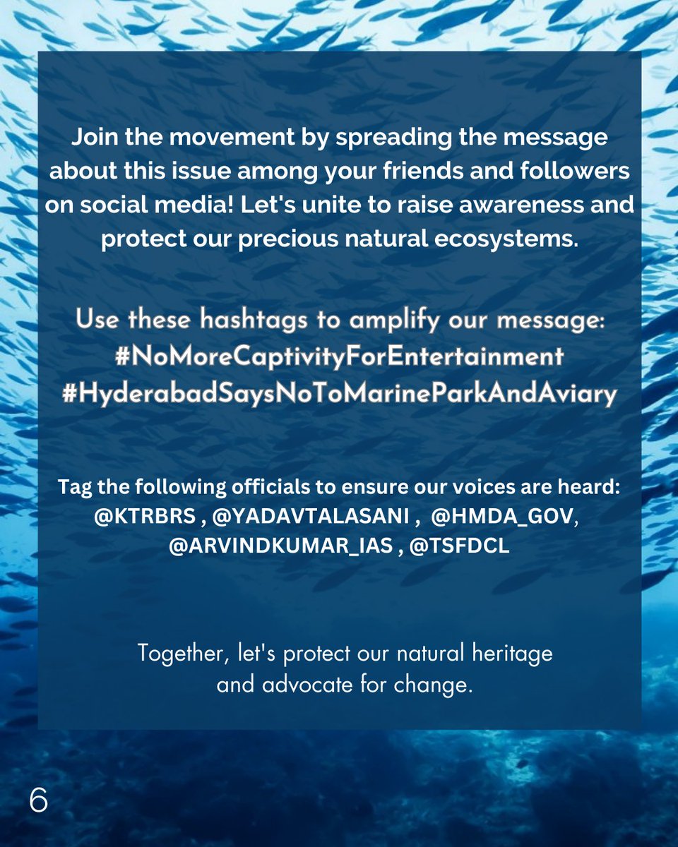 SDsridivya's tweet photo. Spread awareness, Join us to protect our future and reject these facilities ! #HyderabadSaysNoToMarineParkAndAviary #NoMoreCaptivityForEntertainment
Tag the following officials to ensure our voices are heard:
@KTRBRS, @YADAVTALASANI, @HMDA_GOV, @ARVINDKUMAR_IAS, @TSFDCL
ThanQ🙏 https://t.co/x9B6T5Ai28