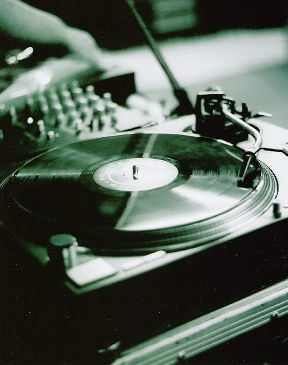 Alexander 🏴‍☠️ tweet media