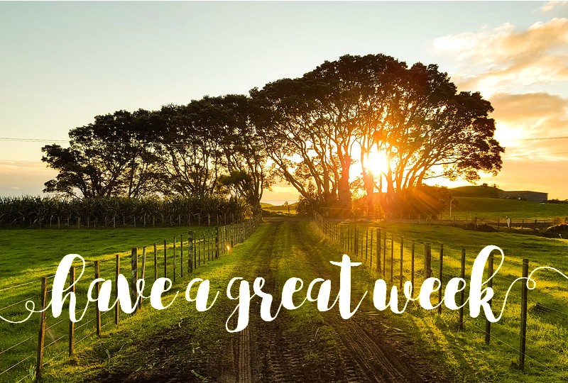 At WWA we're downing tools for a scheduled break. 

Our next 🌟 Fortnightly Job Splash 🌟 will be w/c 26th June.

If any Let's Get Messy partners need to get in touch, please email wakeywakeyarts@gmail.com or call me on my usual number. 

Have a great week! 🌻 

#annualleave