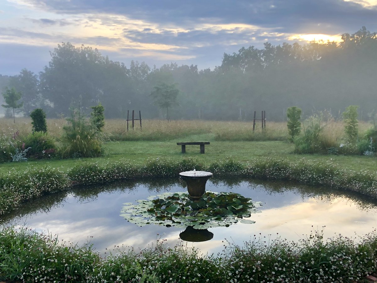 Rising mist giving promise of a fine day, heavenly to be in mid June and still green. Have a lovely weekend one and all. #ornamentalpond #waterlilies #wildlifepond #wildflowermeadow #mygarden #swfrance #GardeningTwitter #TheLostGardenOfLoughrigg