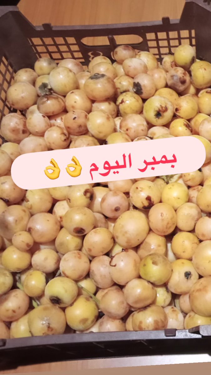 #مشتل_سمرة_خطاف #زرع_الخميس tweet media