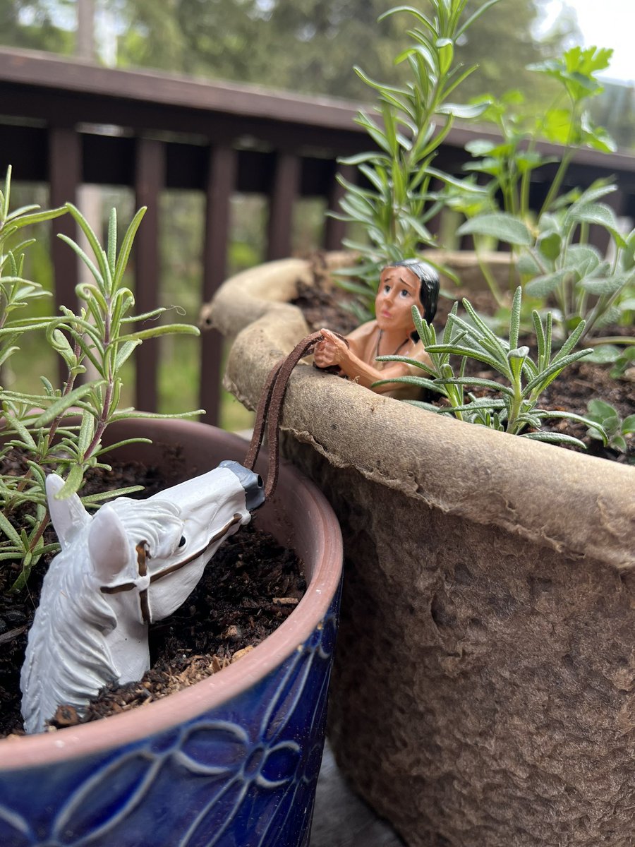 Sharon Stiteler 🐀 tweet media