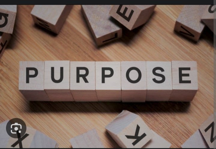 There's a sense of direction that comes with discovery of one's purpose.

Follow us @ careerwise.ng

 #purpose #personalvalues #discovery #findingyourpurpose #findingyourwhy