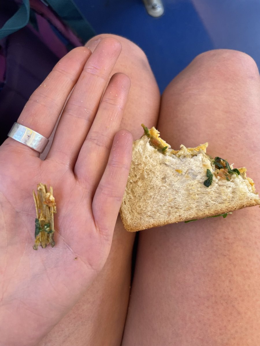 IsabellaEllwood's tweet photo. @marksandspencer bought this ‘no chicken’ sandwich yesterday from Edinburgh Airport and found either a bone or a piece of wood in it? 🤨 really freaked out! https://t.co/7Ar4Ns6rkh