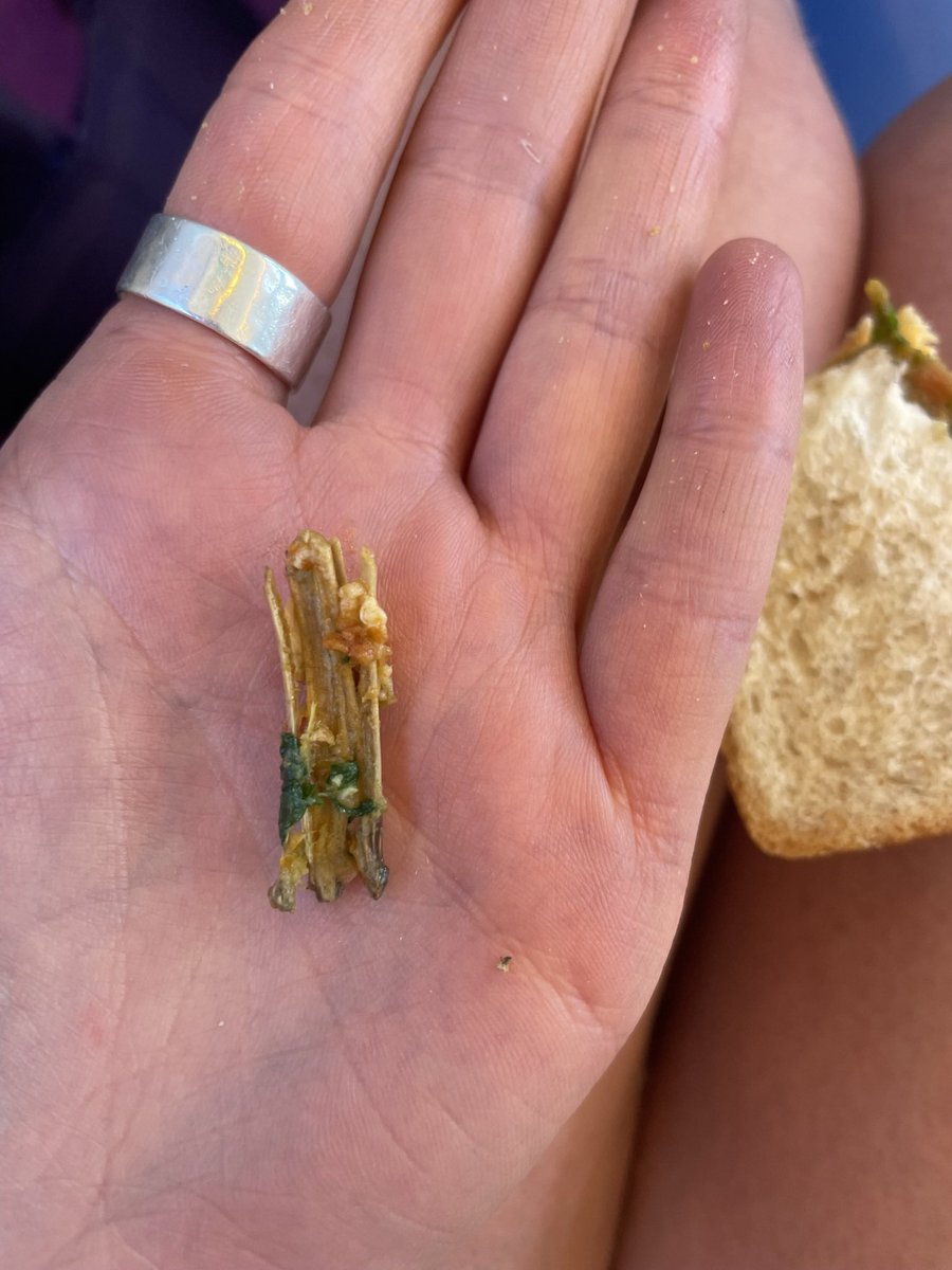 IsabellaEllwood's tweet photo. @marksandspencer bought this ‘no chicken’ sandwich yesterday from Edinburgh Airport and found either a bone or a piece of wood in it? 🤨 really freaked out! https://t.co/7Ar4Ns6rkh
