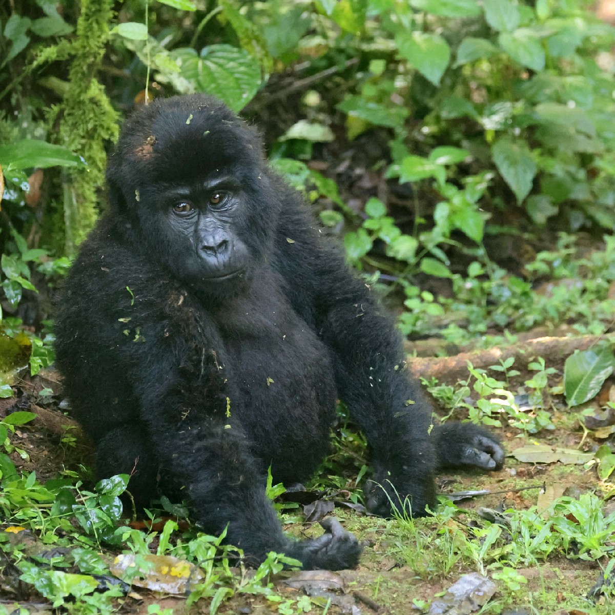 Flow Travel tweet media