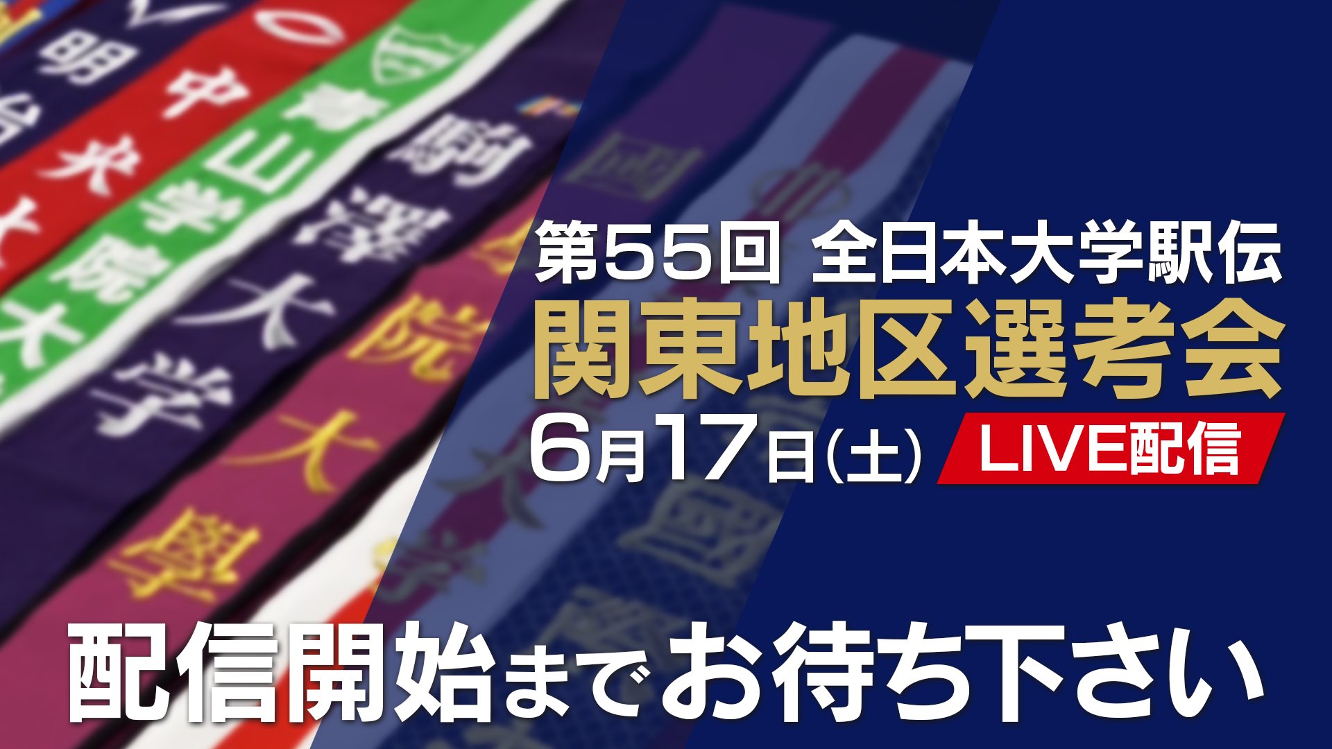 No.1490 ジャンピング猫 てるてる坊主 カタツムリ 【即納！最大半額
