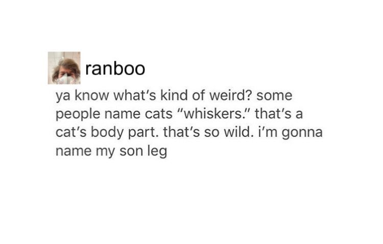 tumblr posts that ranboo could have posted