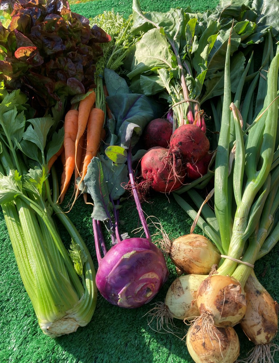 WELCOME TO SUMMER!🥕🌞 - mailchi.mp/a565e720e672/n…