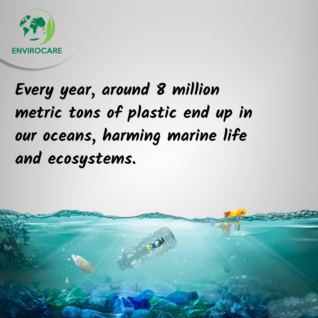 Envirocare Foundation tweet media