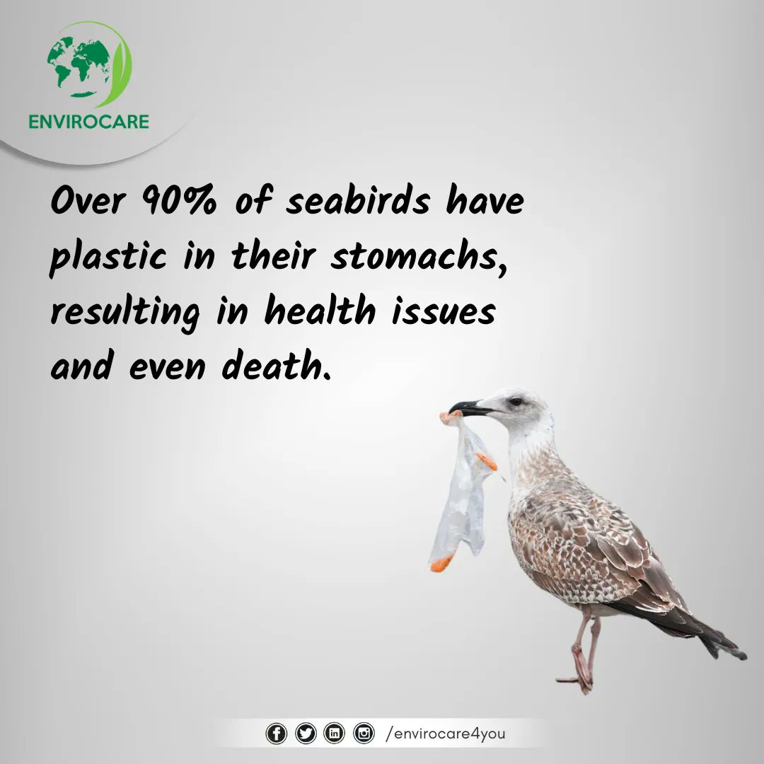 Envirocare Foundation tweet media