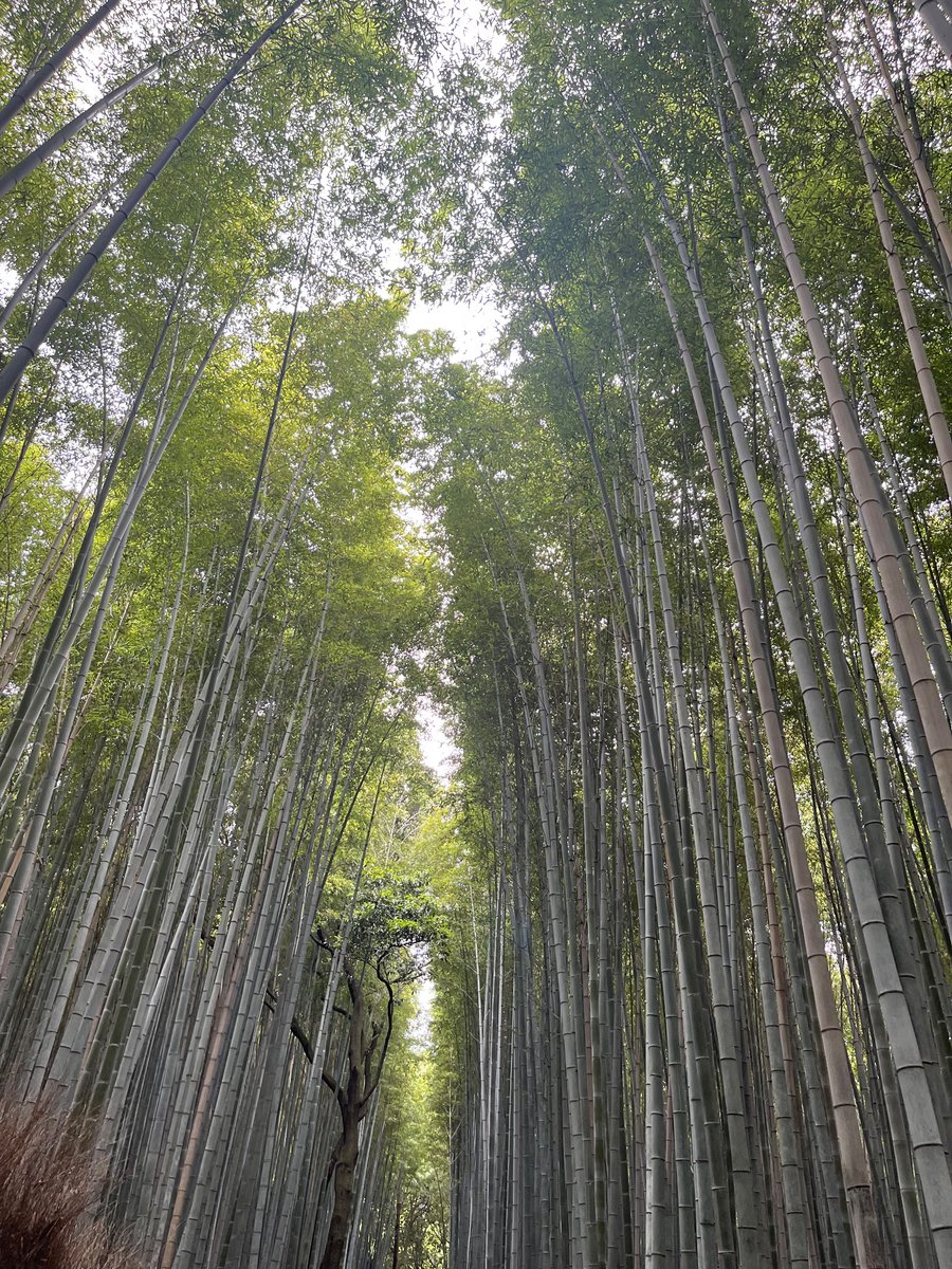 Emre Turer tweet media