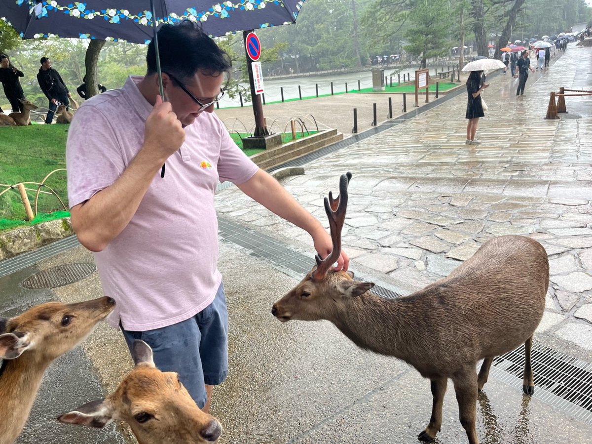 Emre Turer tweet media