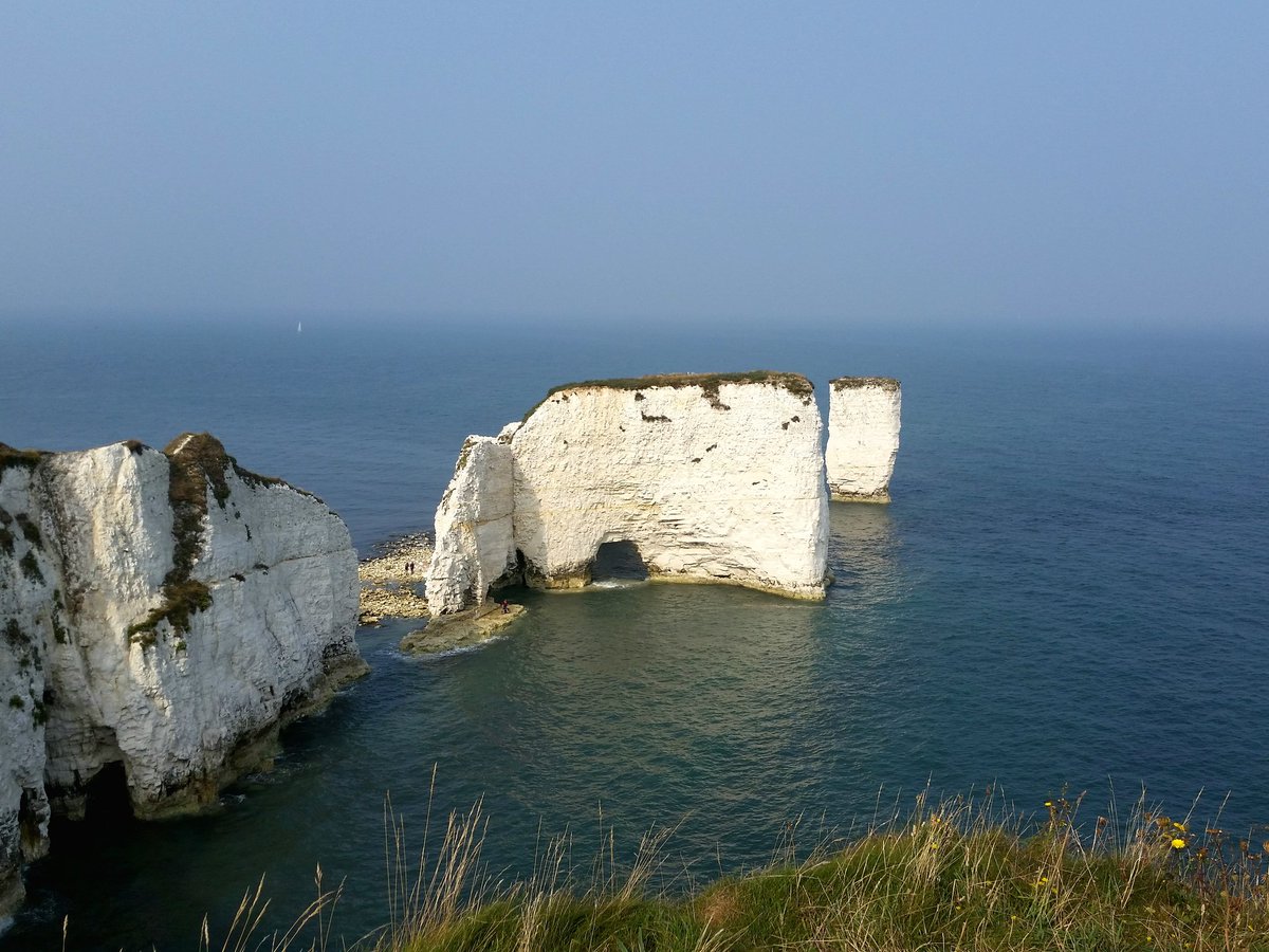 Have a great weekend! 🐳🌞🪼

#nature #relax #calmcado