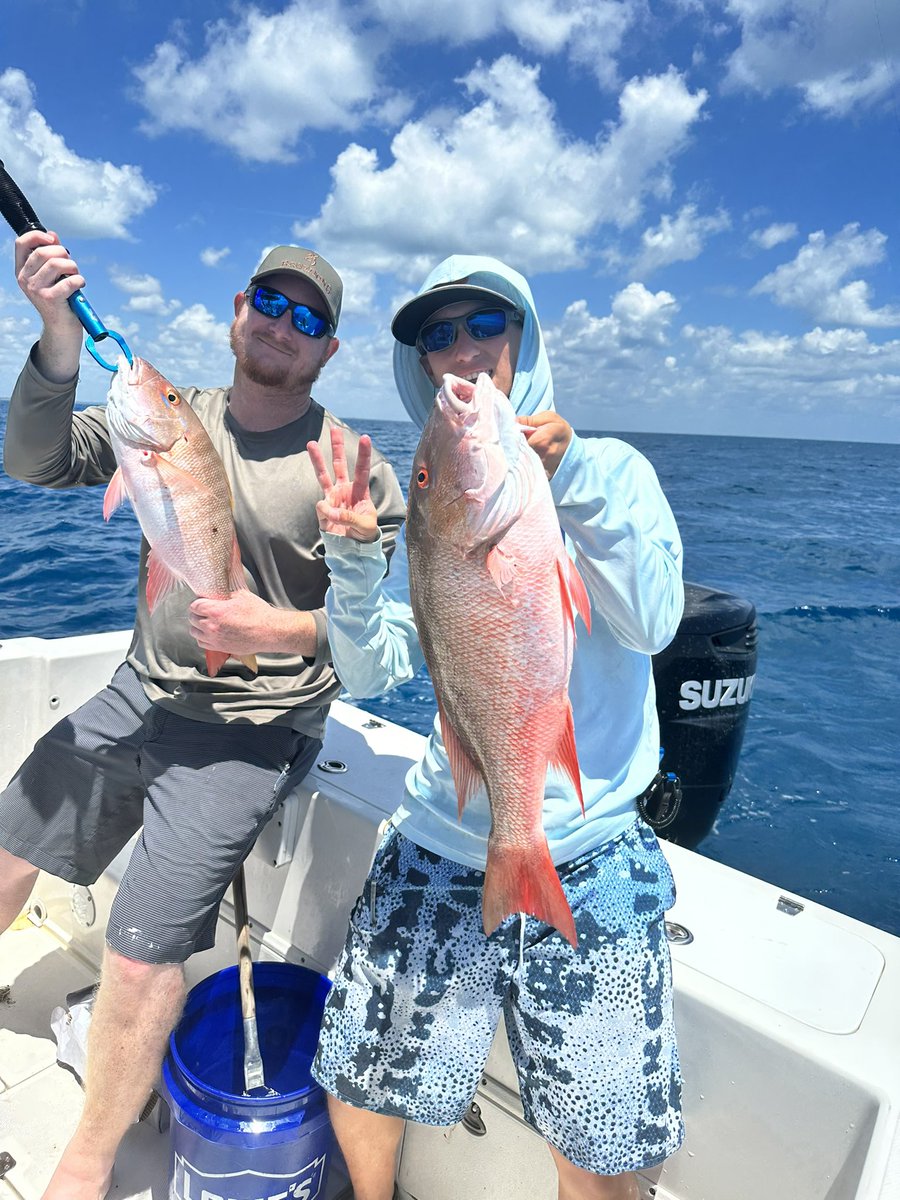 connorg1119's tweet photo. The bite was hot pulling three keeper mutton snapper. beautiful conditions to be out too for once https://t.co/mO45Vneaj5