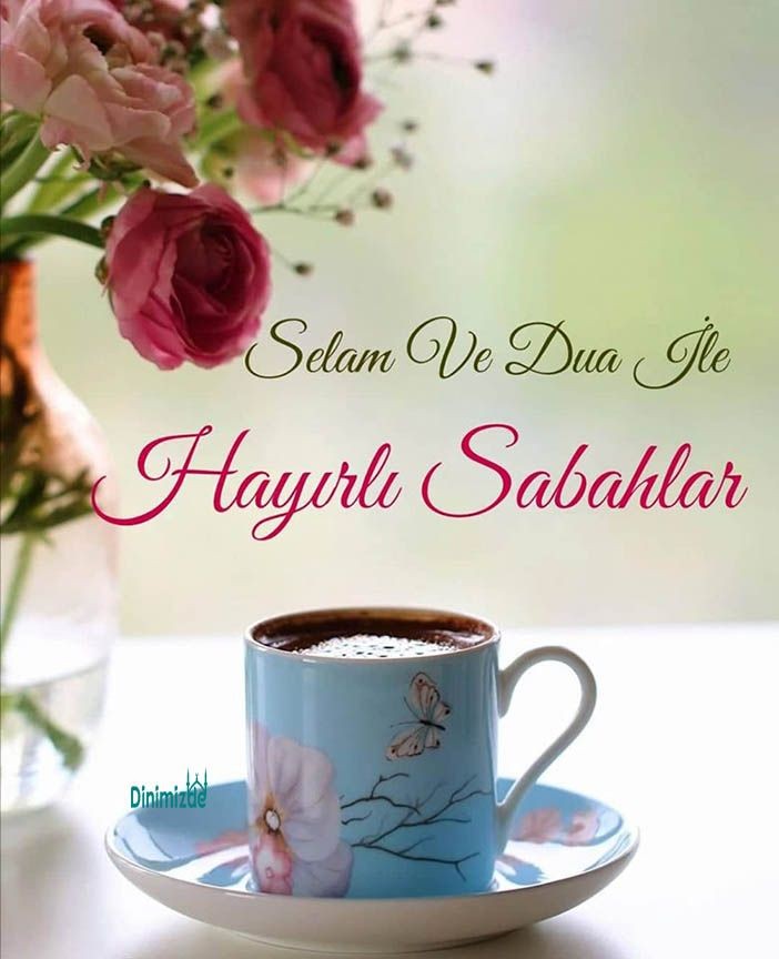 🇹🇷Zeynep🇹🇷💙53💚🌱 tweet media