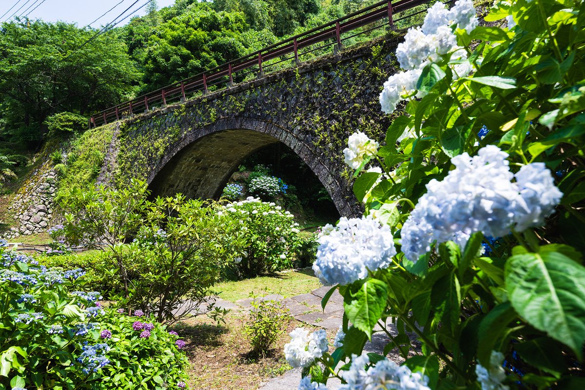 はじめて三見橋に

#三見橋
#眼鏡橋
#アジサイ
#紫陽花
#花
#華
#萩市
#山口県
#日本
#植物
#のんびり
#癒し
#青
#紫
#白
#写真撮影
#夏
#梅雨
#東京カメラ部
#Hydrangea
#flower
#Hagi
#yamaguchi
#Japan
#plant
#laidback
#photography
#summer
#rainyseason
#24mm