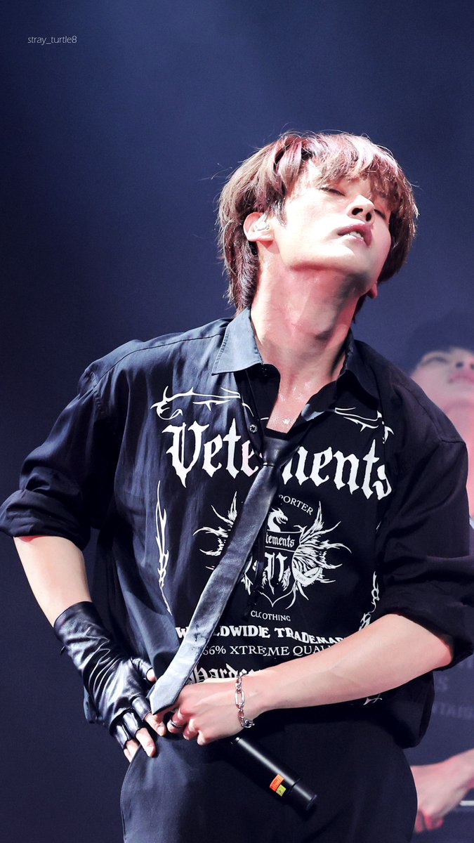 ˢᵗʳᵃʸ ᵗᵘʳᵗˡᵉ tweet media