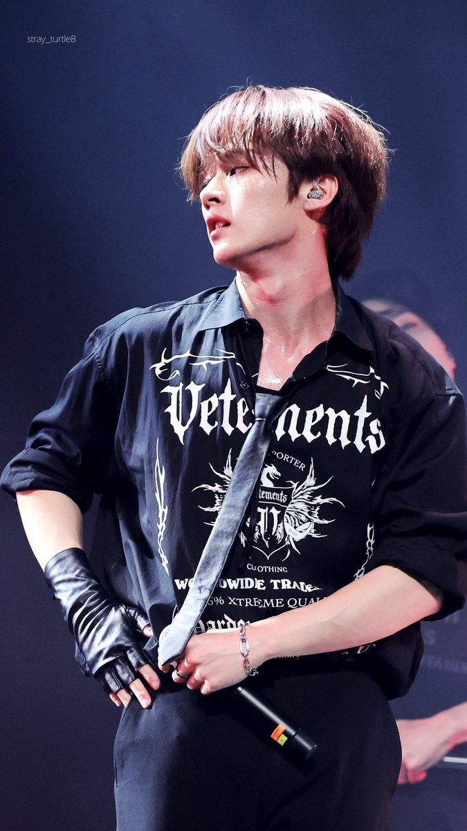 ˢᵗʳᵃʸ ᵗᵘʳᵗˡᵉ tweet media