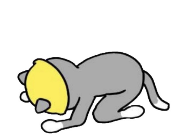 ライブドアニュース on Twitter 