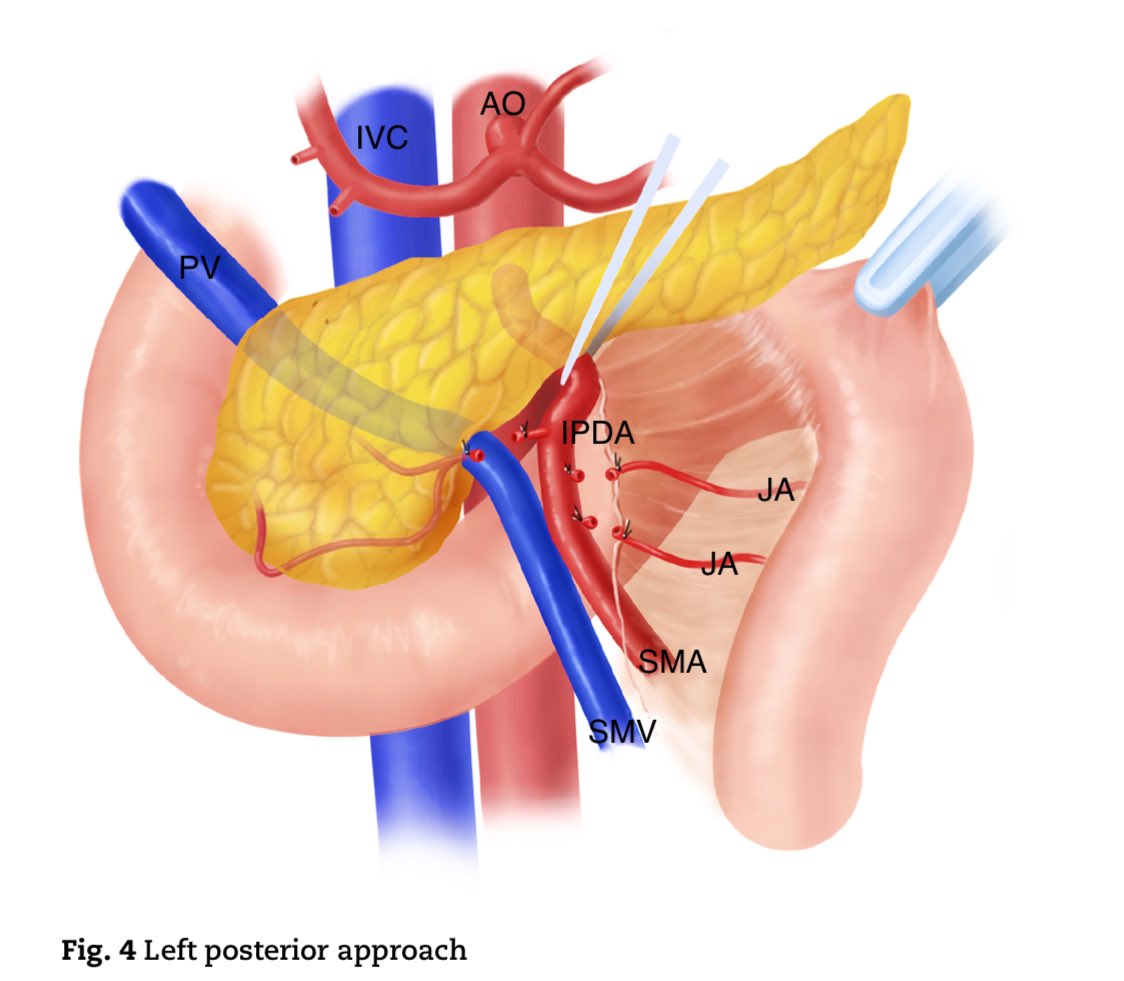 Philip C. Müller tweet media