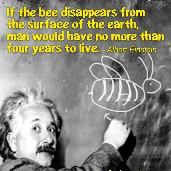 Please retweet if you think we should gain a worldwide ban on pesticides to save the bees, and all the pollinators, key for the life on the earth. 🐝

👉change.org/SaveTheBee 🆘

#Fresh #wtpEarth