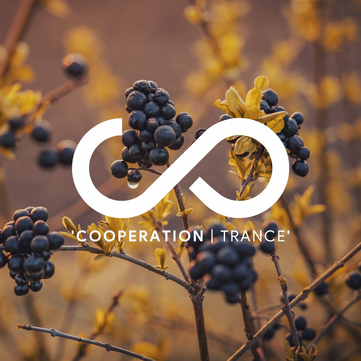 CooperationTra1's tweet photo. Hi everyone, @Eonun1536909  Here!
I'll help @CO1NCooperation maintain Twitter operations.😉

Cooperation Groups 204 is already available on Soundcloud🌟

link here:https://t.co/z4mHajW14K

#trancemusic #TranceFamily #Trance #CooperationGroups https://t.co/0Gojt7pt0A