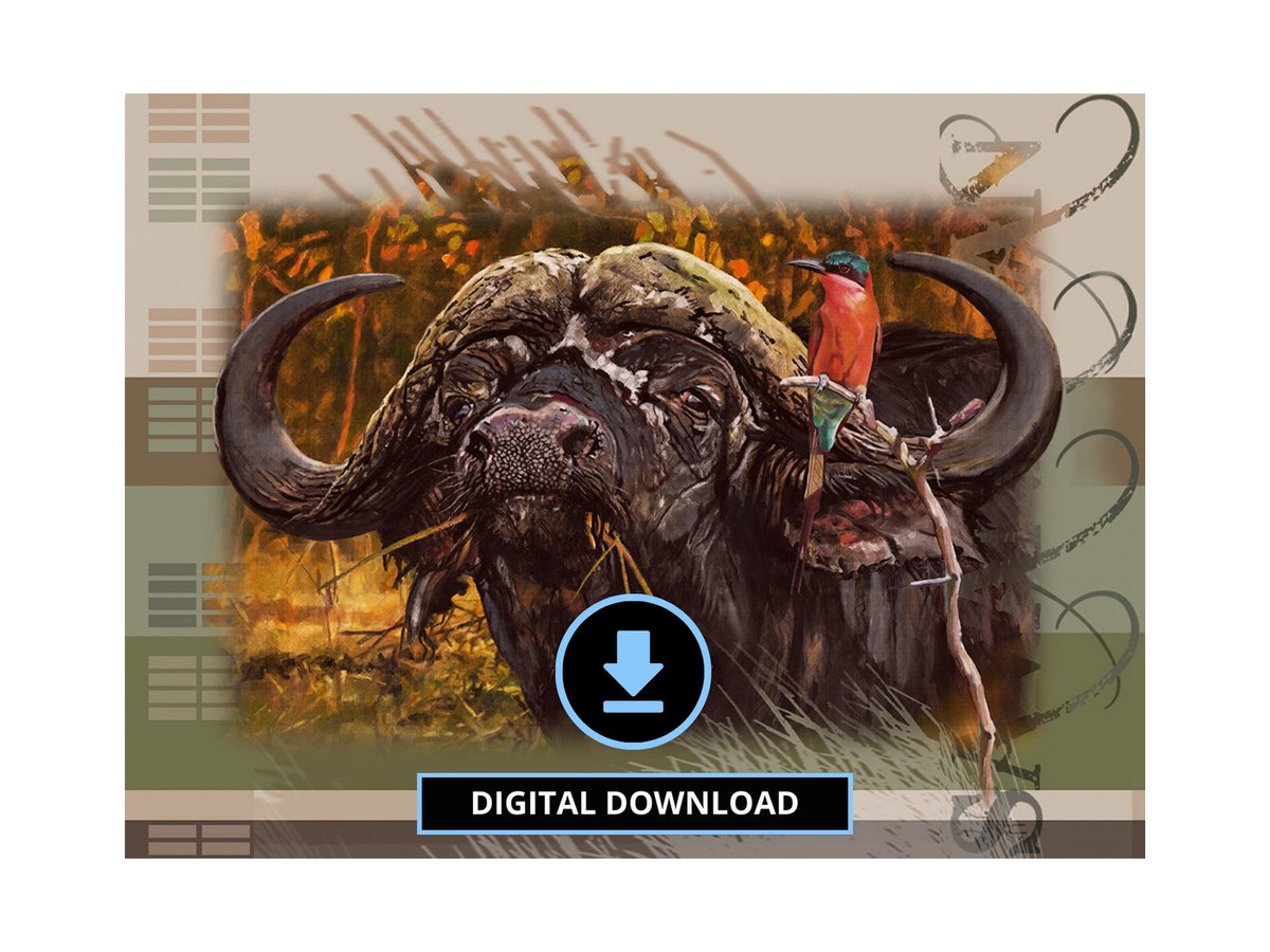 HBS_art's tweet photo. "Buffalo Bull & Bird Set"
https://t.co/cZ4atEyNXH
#Capebuffalo #buffalobull #buffalo #wildlife #wildlifeart #wildlifeprints #biggame #hunting #adventure #wilderness #outdoors #outdooradventures #outdoorliving #nature #safari #africa #african #SouthAfrican #art https://t.co/t3gPxlYQor