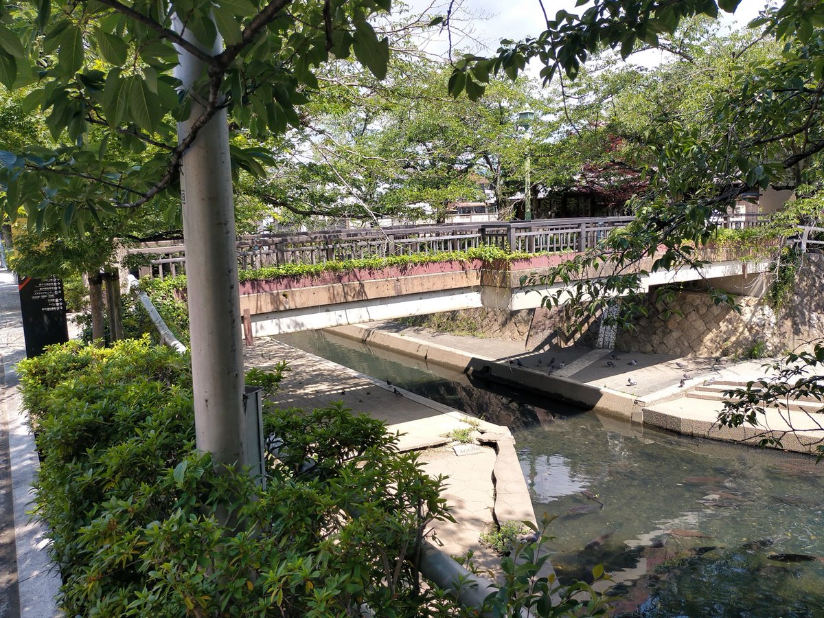 _ogaki_'s tweet photo. 聲の形 いつもの場所で
四季の広場 美登鯉橋
梅雨の晴れ間
日かげは涼しい💭
アメダス検索
大垣 32.9℃ 14:51時点
思ったよりアチチ💦
#聲の形
#聖地巡礼
#大垣
#四季の広場
#美登鯉橋
#水門川
#ASilentVoice
#TheShapeofVoice
#KoeNoKatachi
#Ogaki
検索用 #O垣 https://t.co/cwuE3W0P9C