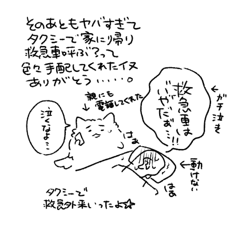 年始にかかったコロナ(一回目)の時の愚か日記