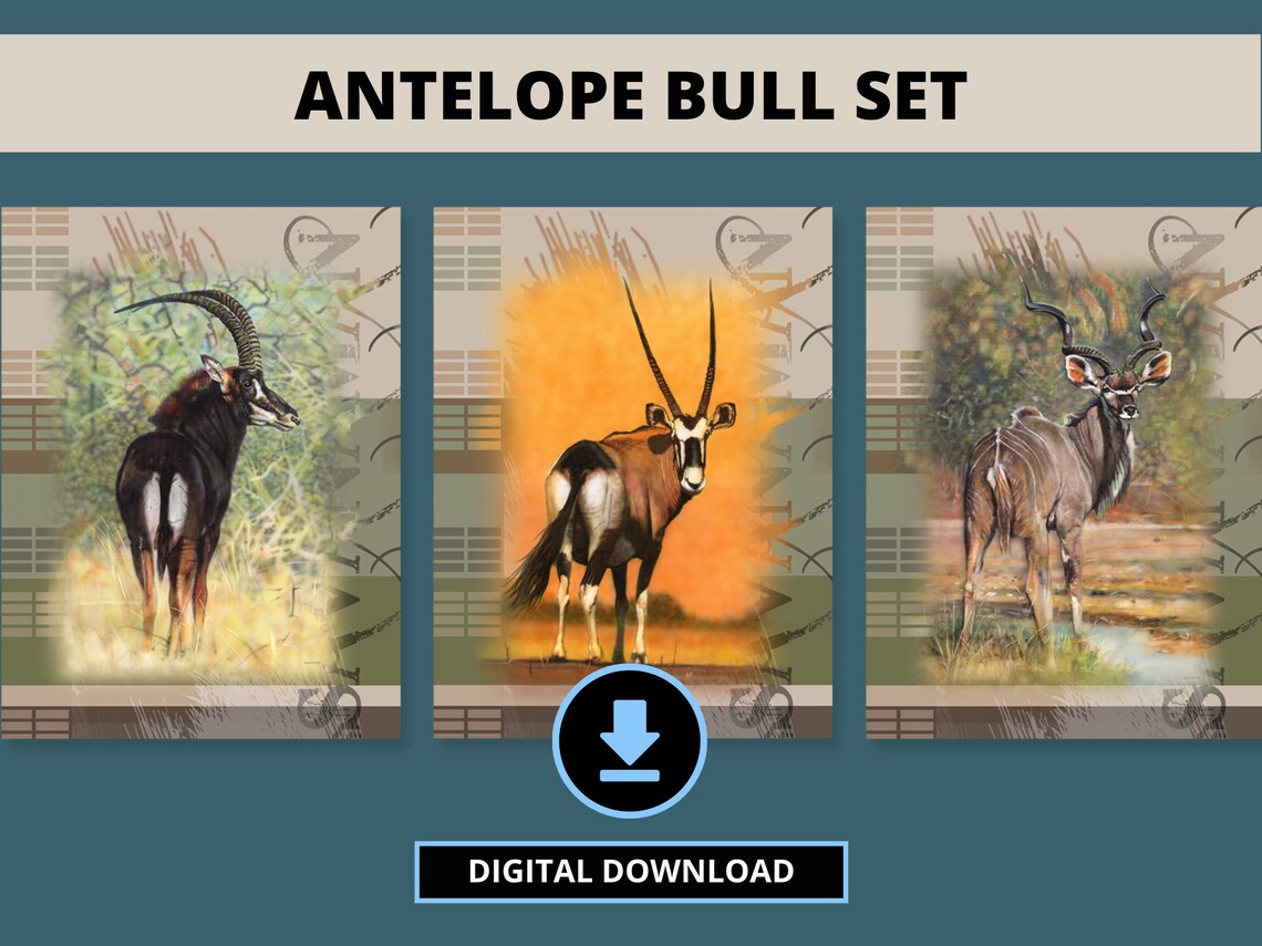 HBS_art's tweet photo. https://t.co/G5tgbUeHoZ

#sable #kudu #gemsbok #antelope #bull #trophy #wildlife #wildlifeart #mancave #safari #travel #nature #naturelover #naturelovers #artprint #travelagent #zoo #animal #animalrescue #animallover #AnimalLovers #bushcraft #bushveld #hunting #fishinglife #art https://t.co/SIwbMn5arx