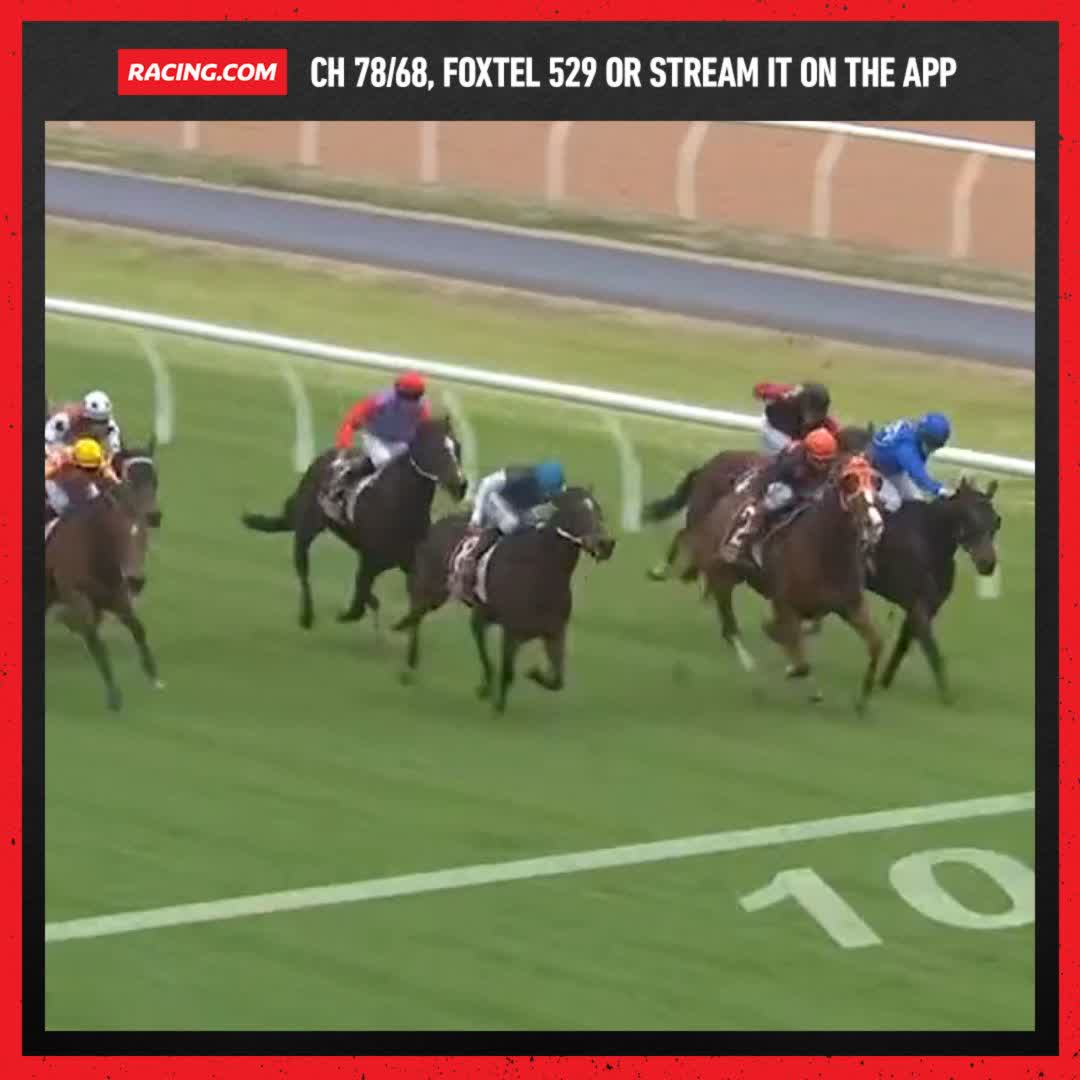 Racing SA on Twitter "RT Racing "Starspangled Saga, over the top