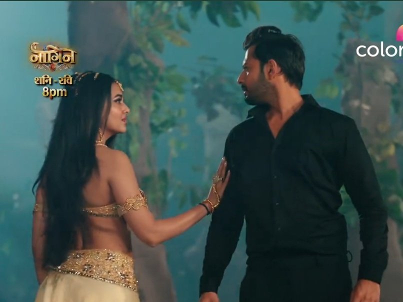 It's Naagin Day 😍

#PraGhav 🔥

Don't forget to watch #Naagin6 tonight at 8:00 pm on colors tv
@itsmetejasswi #TejasswiPrakash #TejaTroops #Pragati #Naagin6WithTejasswiPrakash