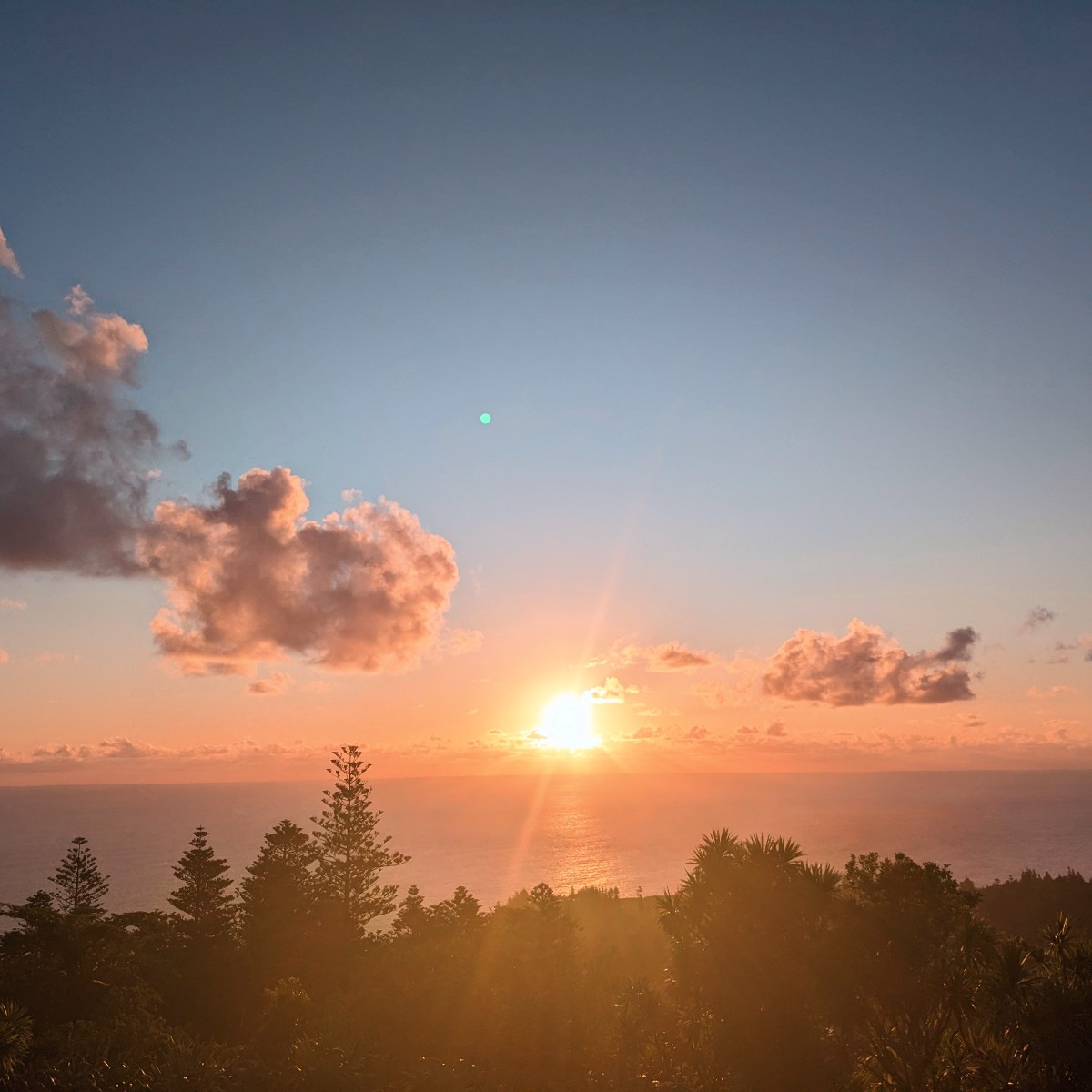 What a beautiful sunset from the summit of Mt Pitt ! 😍🌄 Happy #SunsetSaturday from Norfolk Island National Park and Botanic Garden!
