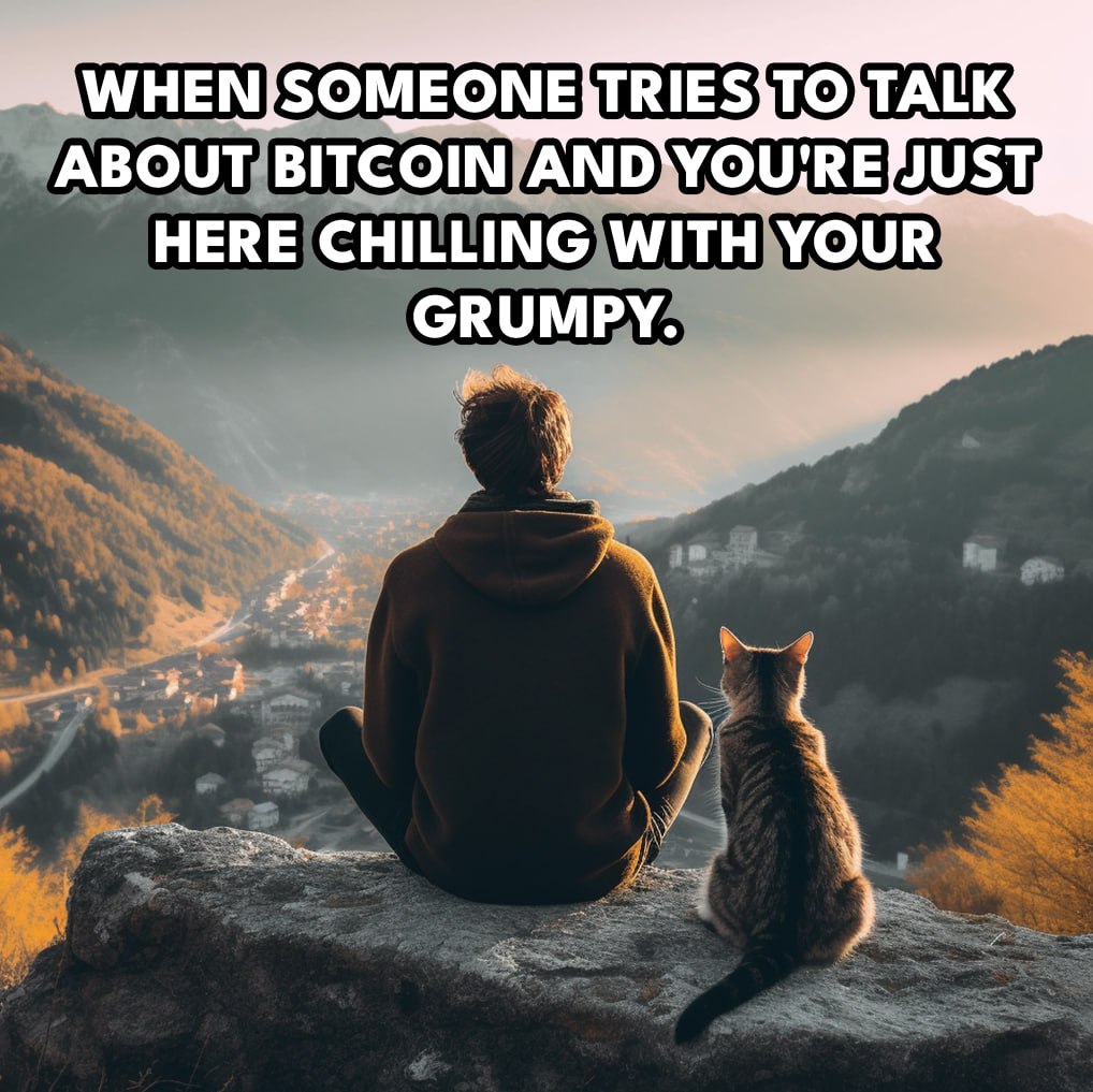 AltcoinTez5921's tweet photo. @hirosystems 😼 Calling all meme enthusiasts! Get your claws on $GRUM, the memecoin that's taking the crypto world by storm. Follow us for the funniest grumpy memes and be part of the grumpy squad. #GrumpyCoin https://t.co/sXisc6h9CT