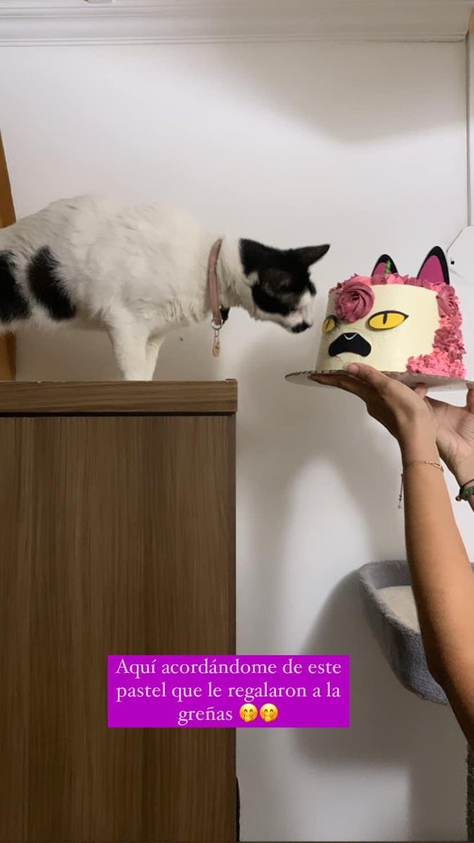 Clubdegatospanama, Labigotes y colita tweet media